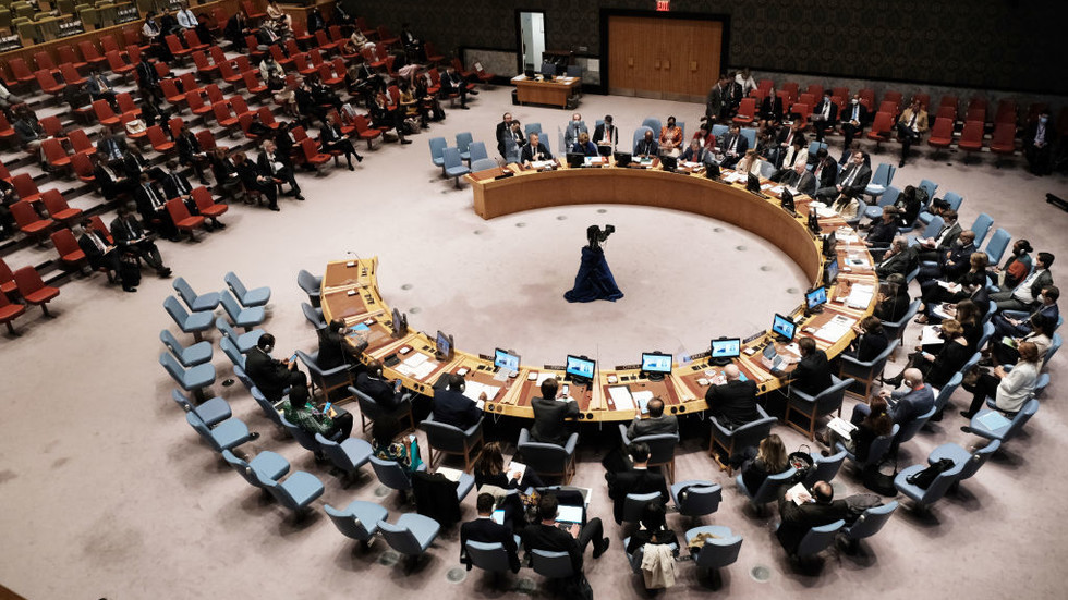 Anti-Russia sanctions triggering global food and energy crises – China