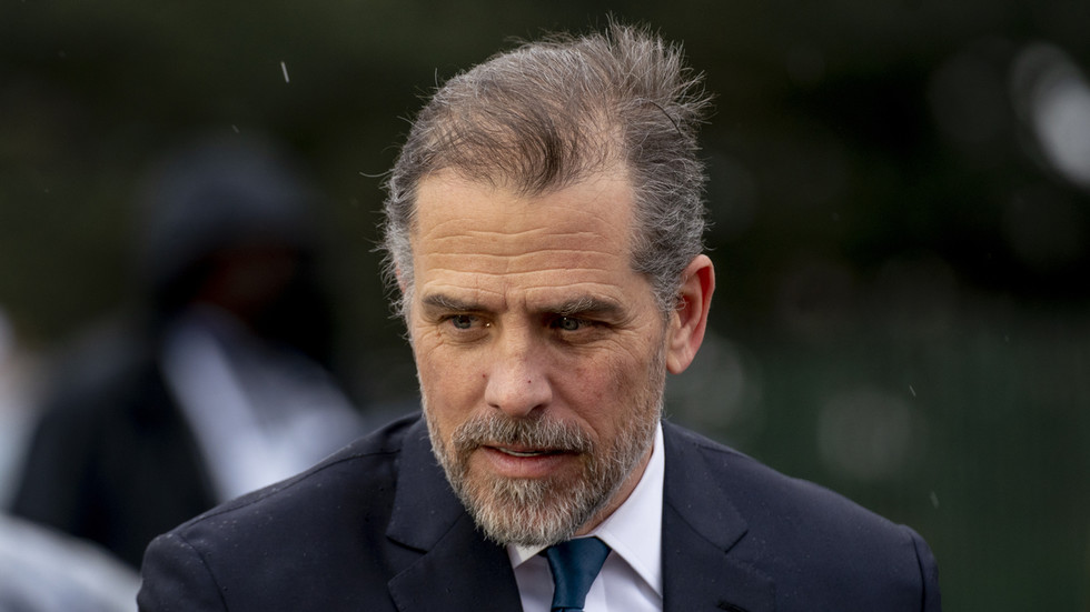 Joe Biden paid his son’s bills for prostitutes – media