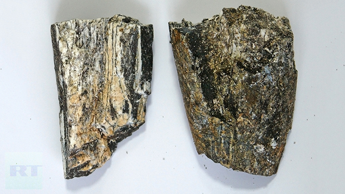 Southern mammoth tusk fragments. Photo by Viktor Kotlyarov