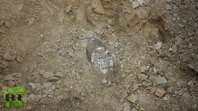 Southern mammoth tusk fragment. Photo by Viktor Kotlyarov