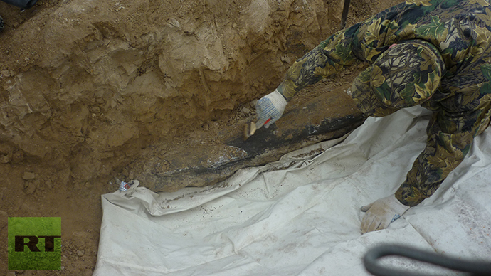 Mammoth remains discovered. Photo by Viktor Kotlyarov