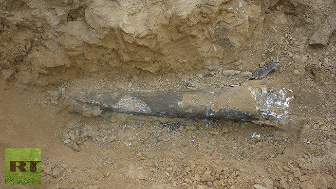 Southern mammoth tusk fragment. Photo by Viktor Kotlyarov