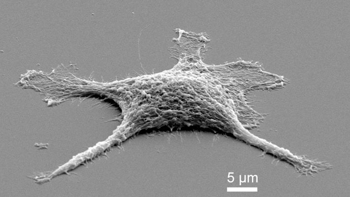 ‘Zombie cell’ mates biology and chemistry at nano-scale