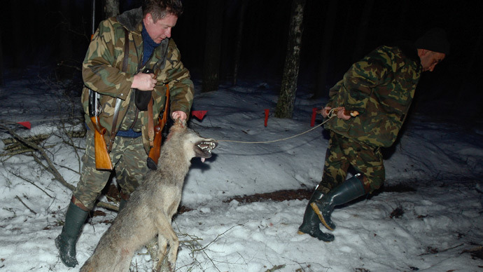 Russia mulls total ban on game hunting