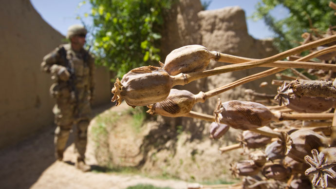 '1mn died' from Afghan heroin, drug production '40 times higher' since NATO op