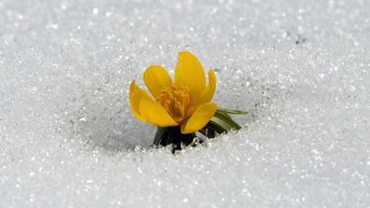 Snow in June: Russia’s Siberian town in absolute anomaly (PHOTOS, VIDEO)