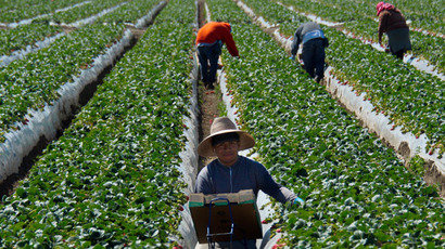 US approves new pesticides linked to mass bee deaths as EU enacts ban