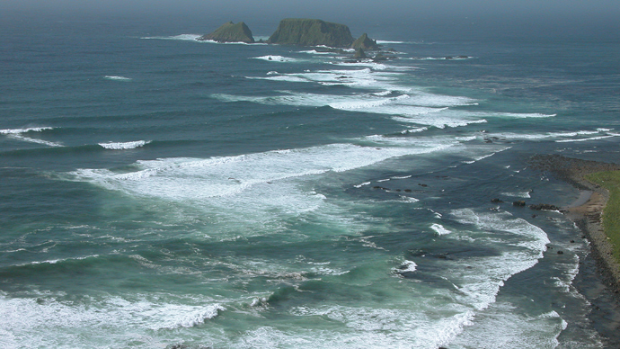 The Kuril Islands environment (RIA Novosti / Sergey Krivosheyev)