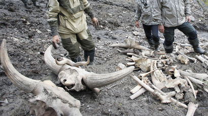 ‘Can you clone that?’ Putin has close encounter with mammoth Dima in Russia’s Far East