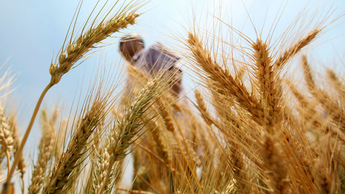 Unapproved Monsanto crop found growing in Oregon
