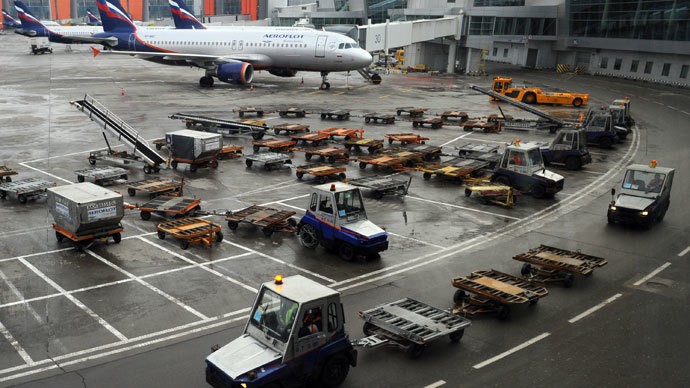 Terminal D of Sheremetyevo International Airport.(RIA Novosti / Aleksandr Kozhohin)