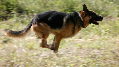 Texas cop placed on paid leave for supermarket shooting spree Facebook threat