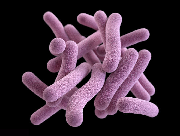 Turberculosis (Image from cdc.gov)