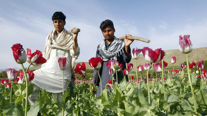 Afghan H-bomb: Record opium harvest, billions burn in 'war on drugs'