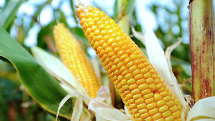 Monsanto buys big data weather company to boost yields and profit