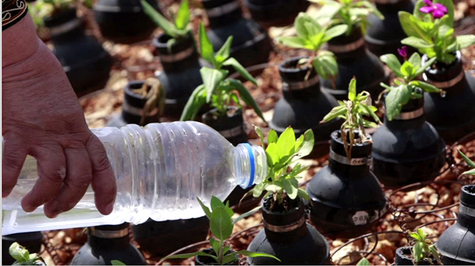 Residents of Bilâin, West Bank have planted flowers in hundreds of spent tear gas canisters to commemorate those killed during Israeli crackdowns on their weekly protests. Still from RT video