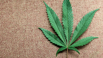 Sanctions destroy anti-trafficking cooperation with US – Russian drug agency