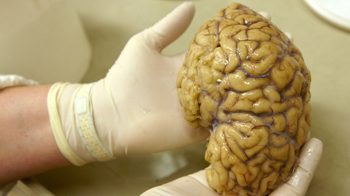 Stanford neuroscientist: 'We’re now able to eavesdrop on the brain in real life'