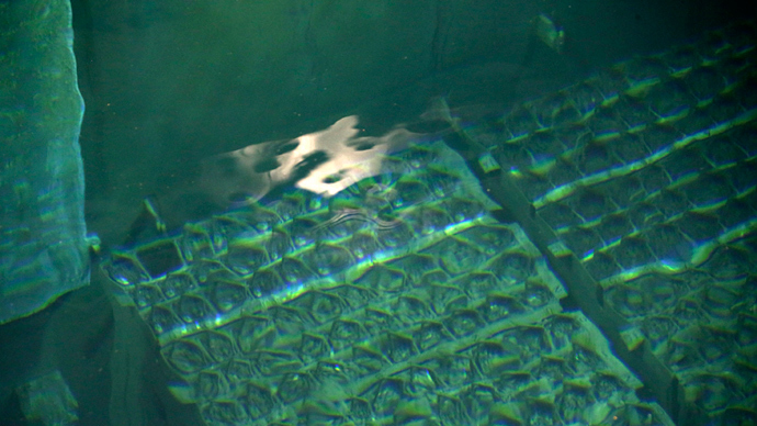 So far, TEPCOâs management of the crisis situation has been criticized as haphazard and ill-planned. Nuclear fuel rods are seen in the spent fuel pool inside the No.4 reactor building. The storage pool has been reinforced with steel and concrete to withstand an earthquake of the same magnitude as the one in 2011. TEPCO's Fukushima Daiichi nuclear power plant, November 7, 2013. (Reuters / Tomohiro Ohsumi / Pool)