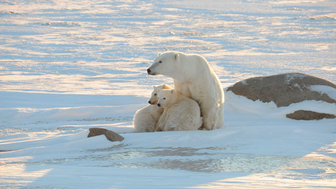 Reuters / Geoff York