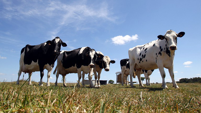 ​FDA did not act after deeming animal feed antibiotics ‘high risk’ to humans - report