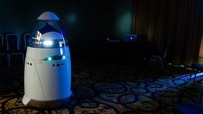 Self-organizing robot armies produced - and all thanks to ingenious termite logic