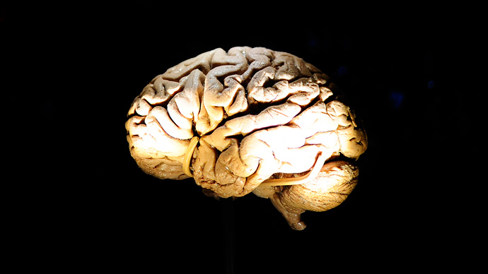 Scientists work on backing up human brain with computers