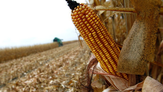 ​EU fear of GM food from US hampers historic trade deal