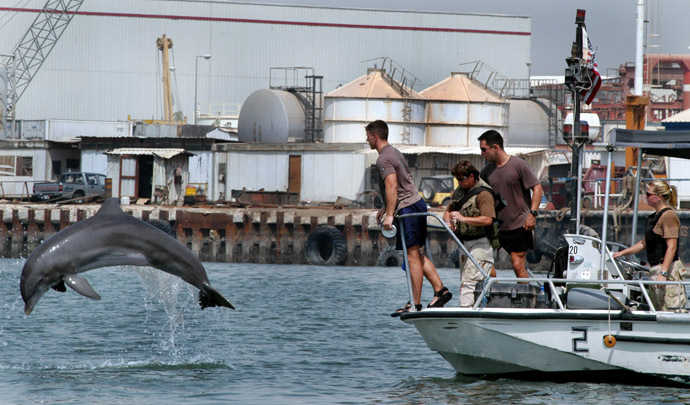 A USS Navy trained dolphin jumps from the sea revealing a detecting device on the fin during a patrol in Manama, Bahrain, August 11, 2003. (Reuters/Hamad I Mohammed)