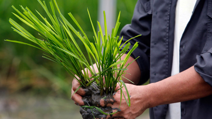 Russia postpones planting of GMOs by 3 years