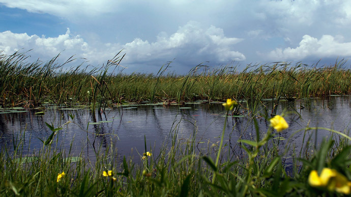 Illegal 'fracking-like' oil drilling halted in ecologically-sensitive Everglades
