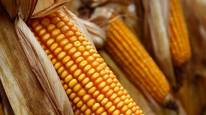 Oregon counties ban cultivation of GMO crops