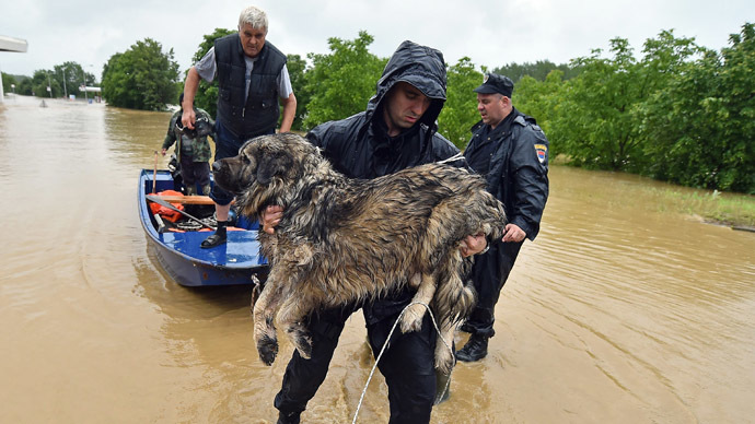 Inspiring images: People risk their lives saving animals from devastating Balkans flood