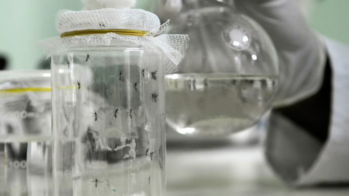 Genetically modified mosquitos could be used to fight malaria