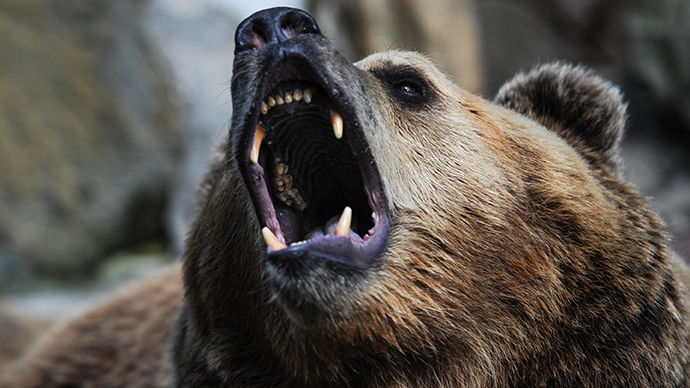Caged bear bites off 5yo's hand in southern Russia