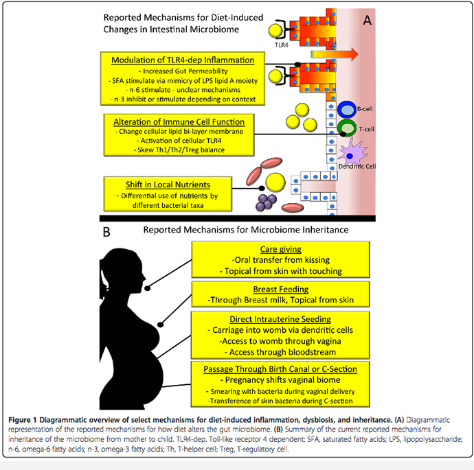 Image from nutritionj.com