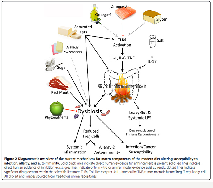 Image from nutritionj.com