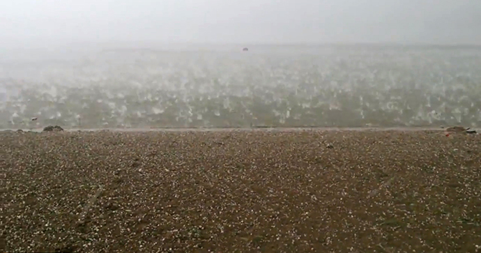 An image grab taken from a video uploaded on YouTube by user Lilya Goppe