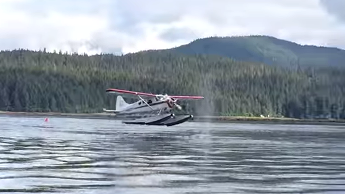 Beware of whales: Plane’s near-miss with giant mammal goes viral (VIDEO ...