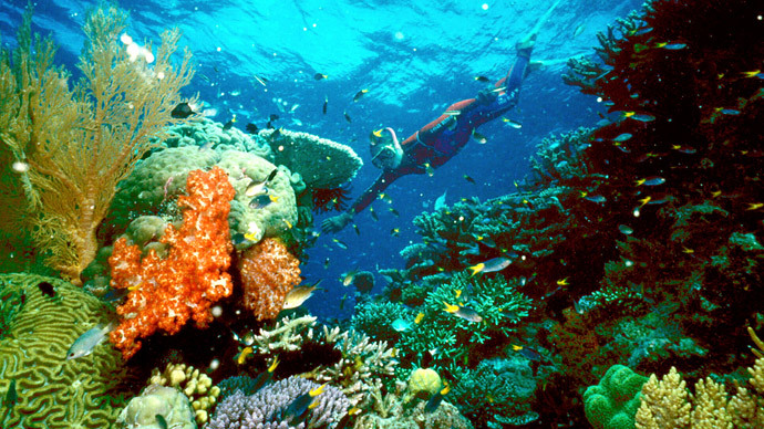Great Barrier Reef in 'worst state since records began', scientists say
