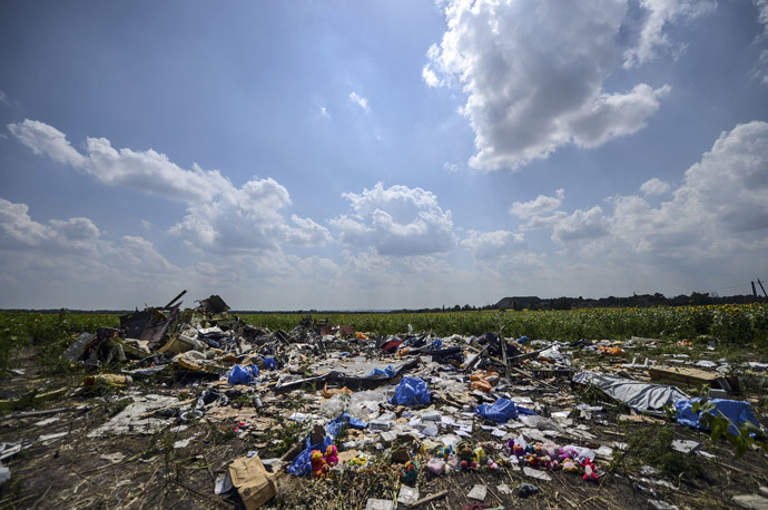 Crash site of the downed Malaysia Airlines flight MH17, in a field near the village of Grabove, in the Donetsk region. (AFP Photo / Bulent Kilic)