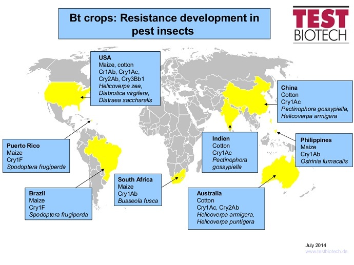 image from TestBiotech.org