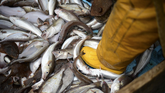 British food exporters feel increasing pressure from Russian embargo