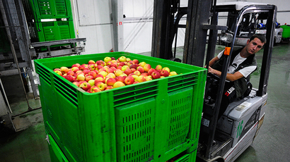 EU-Russia ‘trade war’ to finish within 3 months – Danish biggest lender