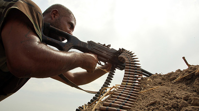 UKIP: Strip Islamic State militants of their British citizenship