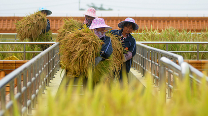 More than half of UK rice products laced with arsenic – report