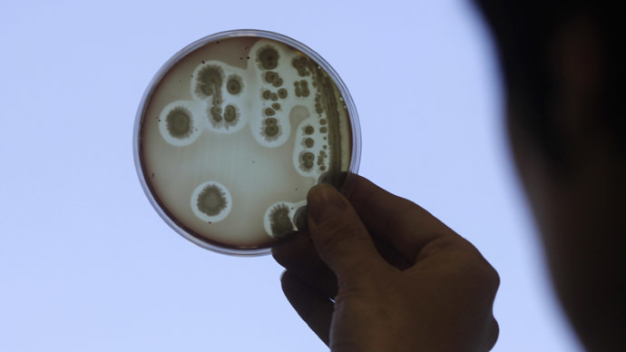 Fossil fuel alternative? Scientists trick E. coli bacteria into producing propane