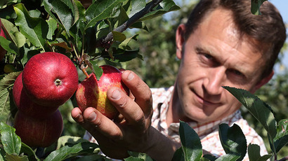 Moscow on sanctions: ‘EU unwilling to see Russia’s efforts on Ukraine’