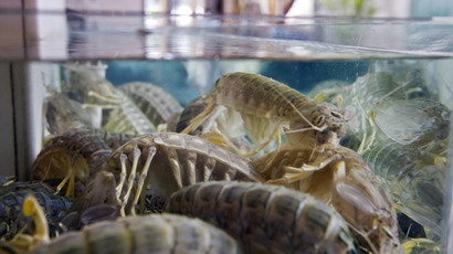 ‘Bionic eye’ helps blind man see again after 33 years (VIDEO)