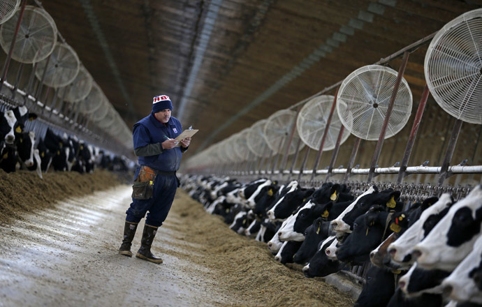  worker looks over cows feeding in the free-stall barn at Fair Oaks Farms in Fair Oaks, Indiana (Reuters/Jim Young)